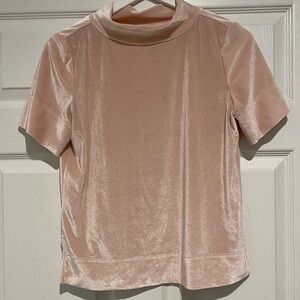 Anthropologie Pink Velvet top